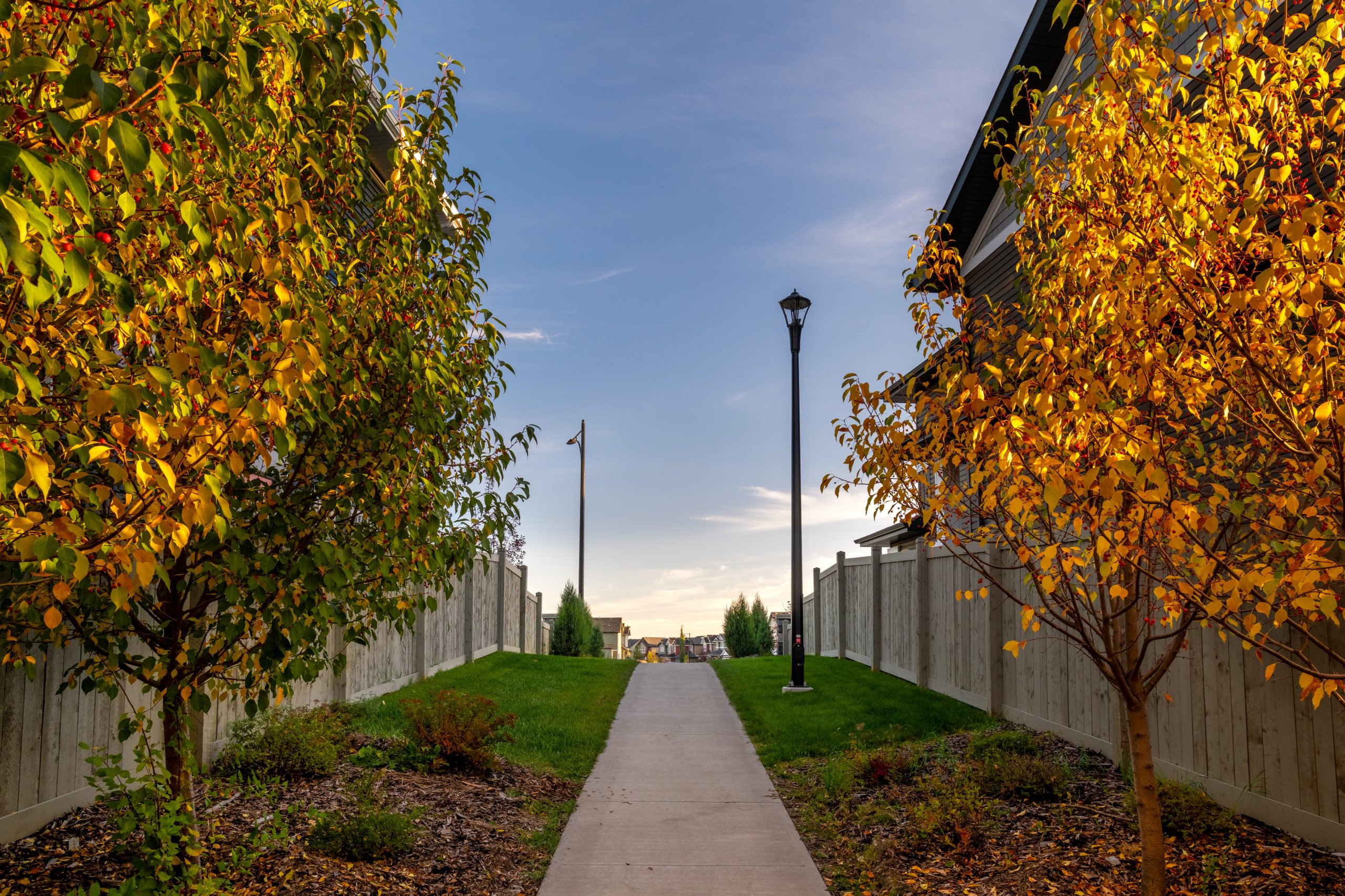 Enjoy Active Living in Harmony with Nature | Hawks Ridge NW Edmonton ...