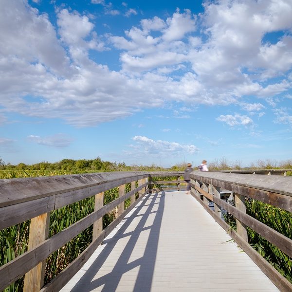 Boardwalk on Big Lake Near Hawks Ridge