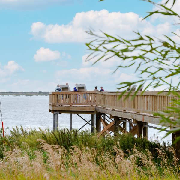 Boardwalk on Big Lake Near Hawks Ridge