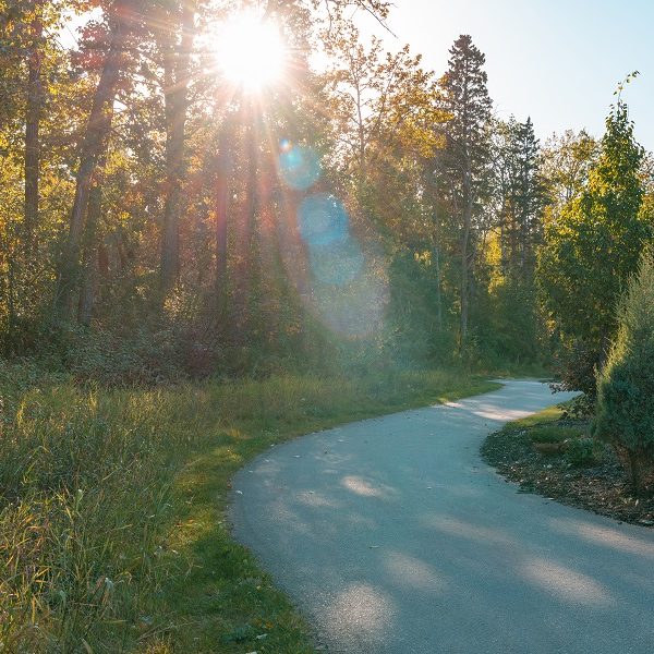 Trails throughout Hawks Ridge