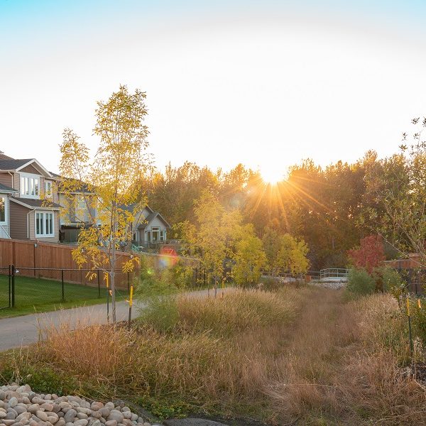 Walking trails all throughout Hawks Ridge