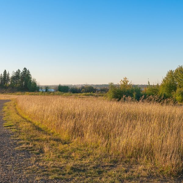 Walking trails in Hawks Ridge by Big Lake